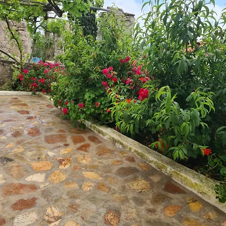 Kamaraki Grande Aroniadika